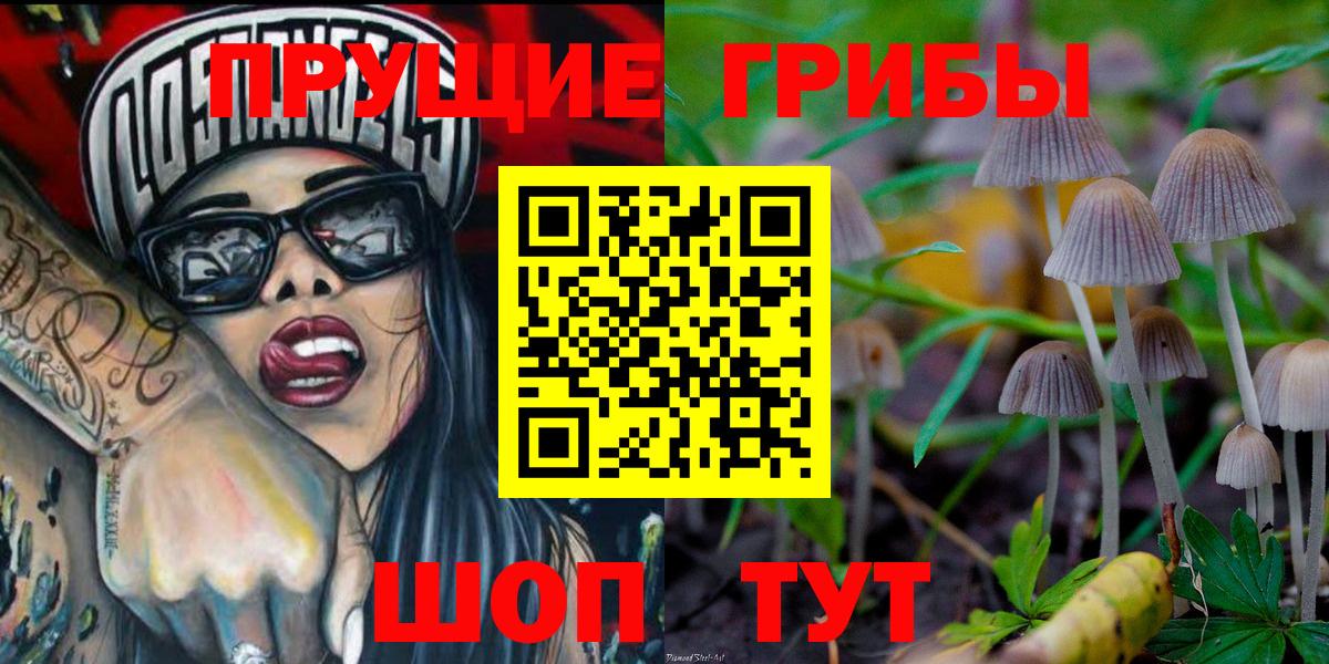 Псилоцибиновые грибы GOLDEN TEACHER Кемерово